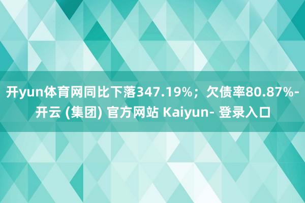 开yun体育网同比下落347.19%；欠债率80.87%-开云 (集团) 官方网站 Kaiyun- 登录入口