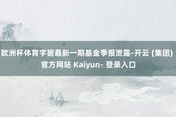欧洲杯体育字据最新一期基金季报泄露-开云 (集团) 官方网站 Kaiyun- 登录入口