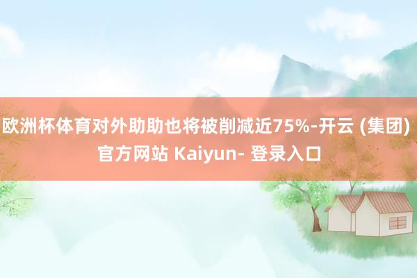 欧洲杯体育对外助助也将被削减近75%-开云 (集团) 官方网站 Kaiyun- 登录入口