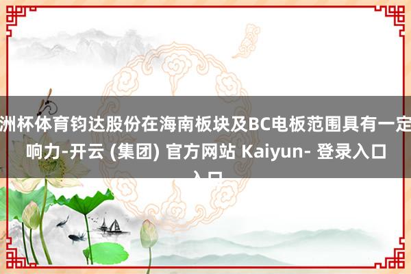 欧洲杯体育钧达股份在海南板块及BC电板范围具有一定影响力-开云 (集团) 官方网站 Kaiyun- 登录入口
