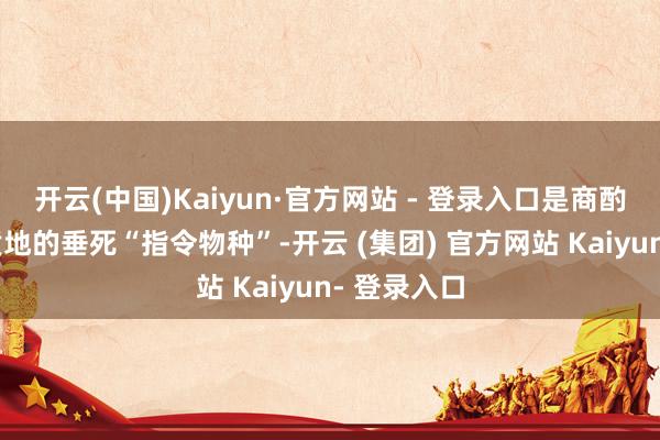 开云(中国)Kaiyun·官方网站 - 登录入口是商酌生态环境质地的垂死“指令物种”-开云 (集团) 官方网站 Kaiyun- 登录入口
