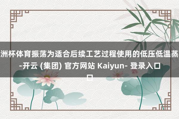 欧洲杯体育振荡为适合后续工艺过程使用的低压低温蒸汽-开云 (集团) 官方网站 Kaiyun- 登录入口