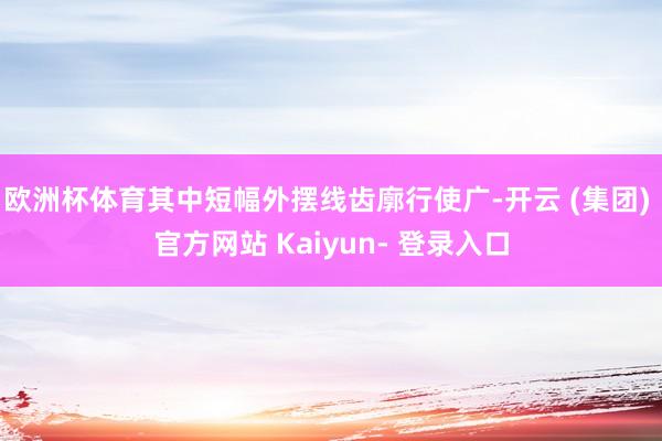 欧洲杯体育其中短幅外摆线齿廓行使广-开云 (集团) 官方网站 Kaiyun- 登录入口