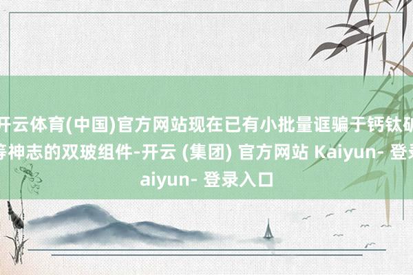 开云体育(中国)官方网站现在已有小批量诓骗于钙钛矿电板等神志的双玻组件-开云 (集团) 官方网站 Kaiyun- 登录入口